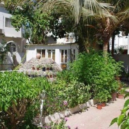 מוסקט Garden Roomz Oman מראה חיצוני תמונה