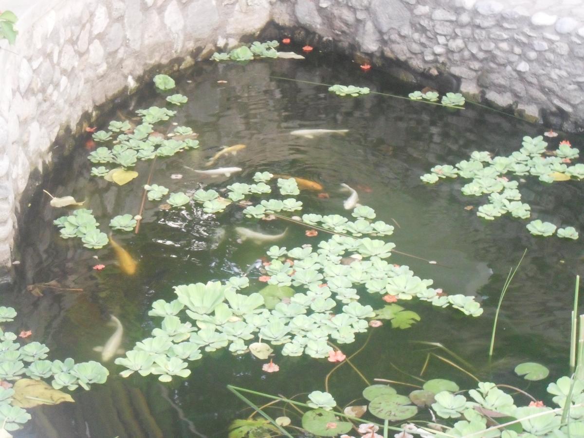 מוסקט Garden Roomz Oman מראה חיצוני תמונה