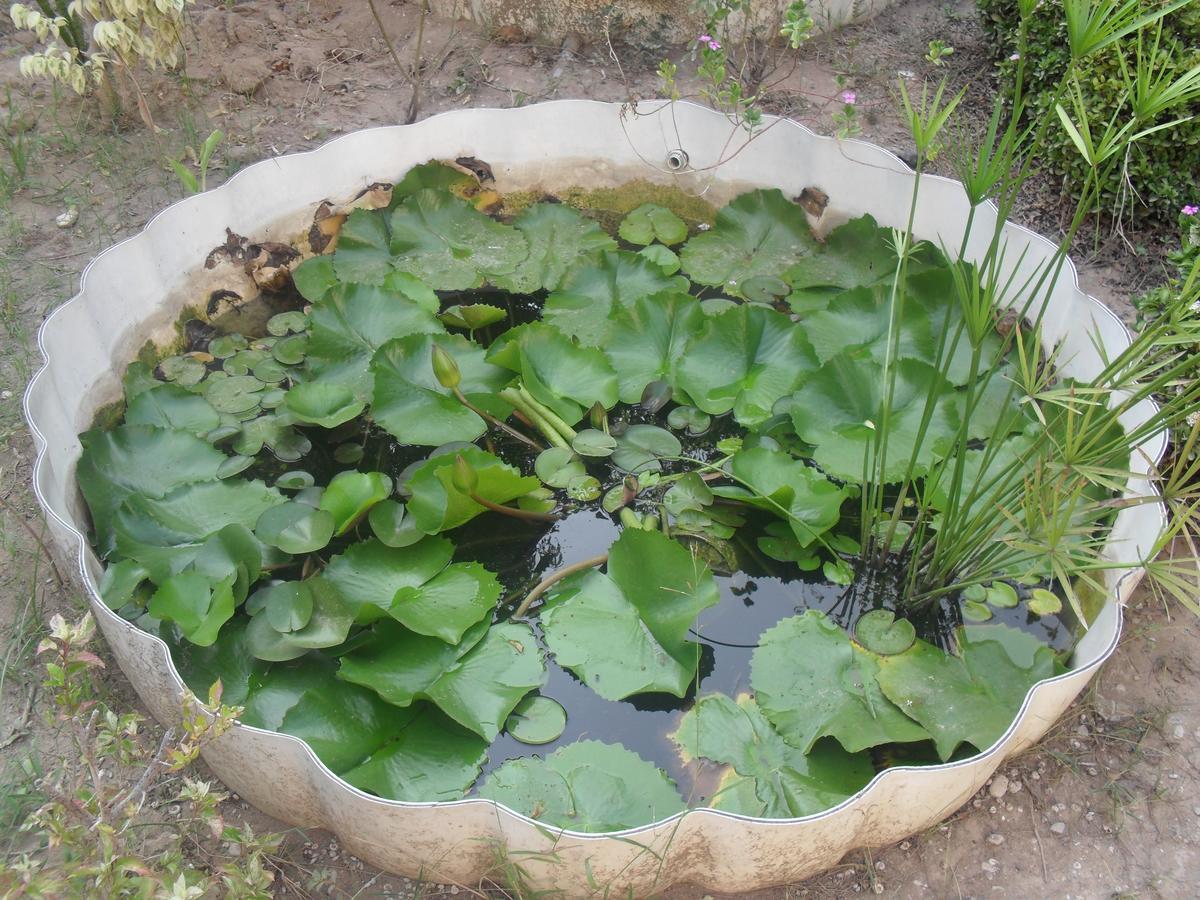 מוסקט Garden Roomz Oman מראה חיצוני תמונה