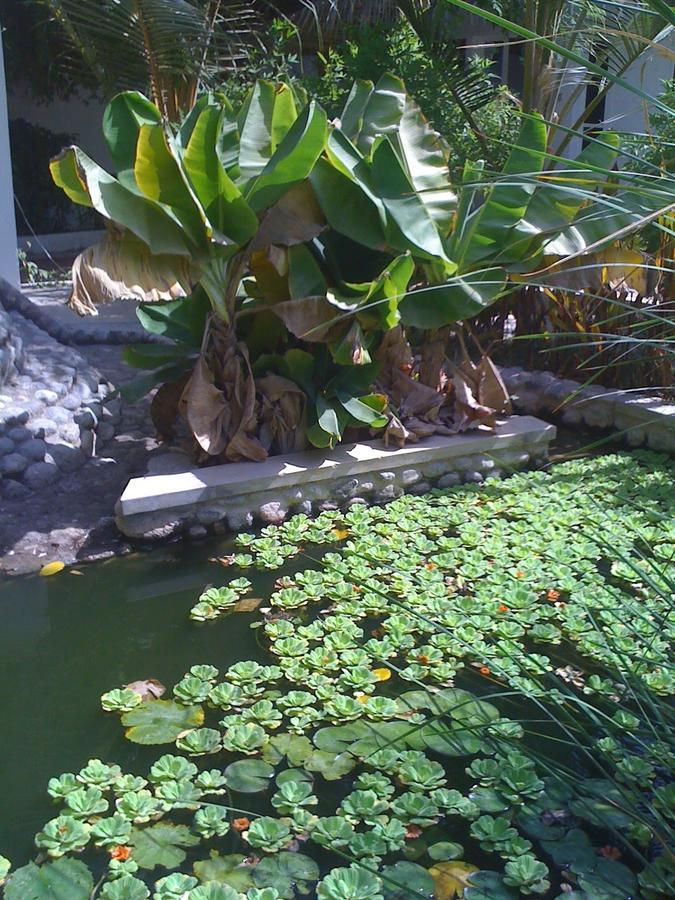 מוסקט Garden Roomz Oman מראה חיצוני תמונה