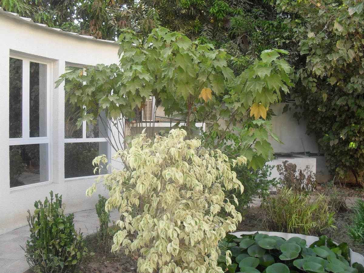 מוסקט Garden Roomz Oman מראה חיצוני תמונה