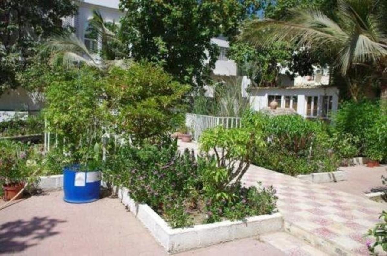 מוסקט Garden Roomz Oman מראה חיצוני תמונה