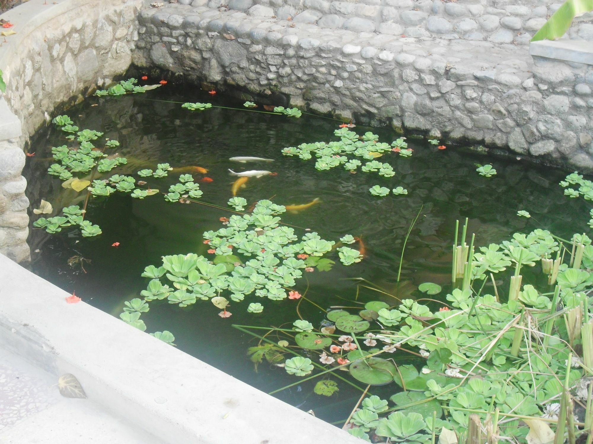 מוסקט Garden Roomz Oman מראה חיצוני תמונה